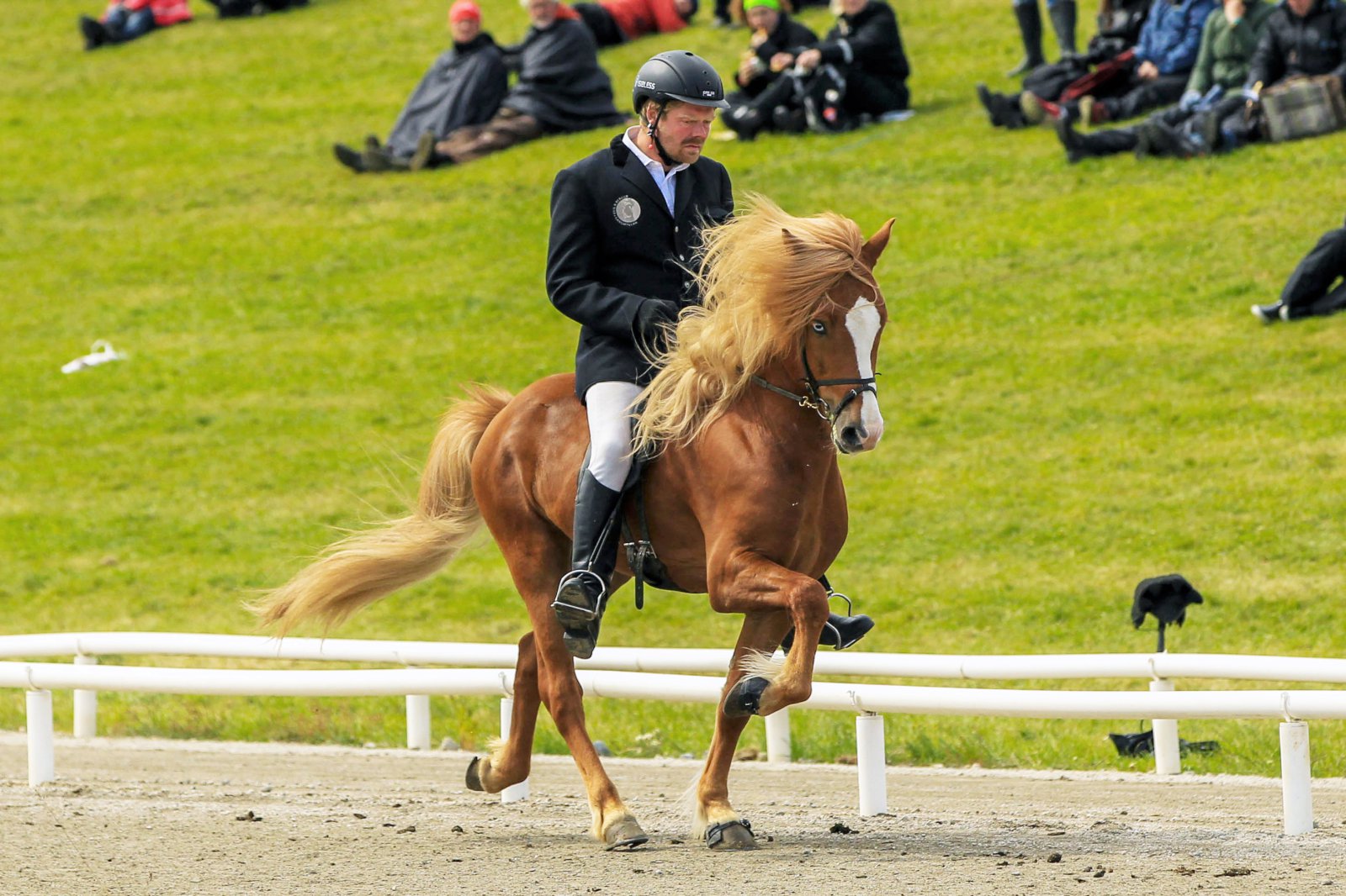 Mikill útflutningur