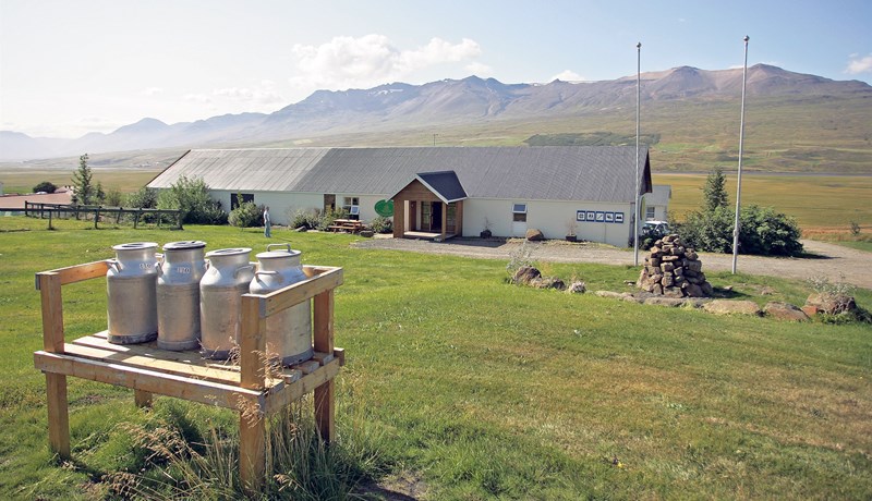 Í góðra vina hópi