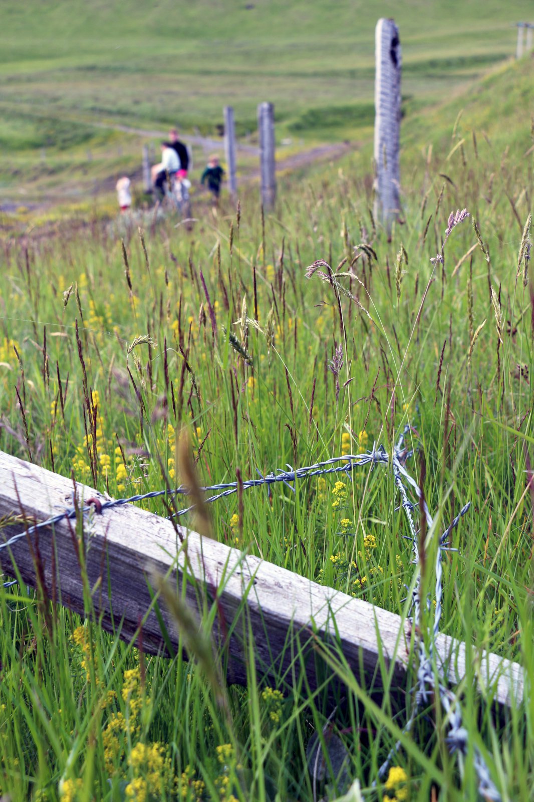 Garður er granna sættir