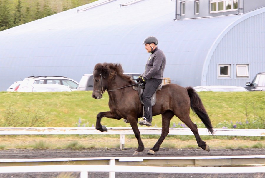 Dóttir Óperu frá Gýgjarhóli, Vala frá Efsta-Seli.