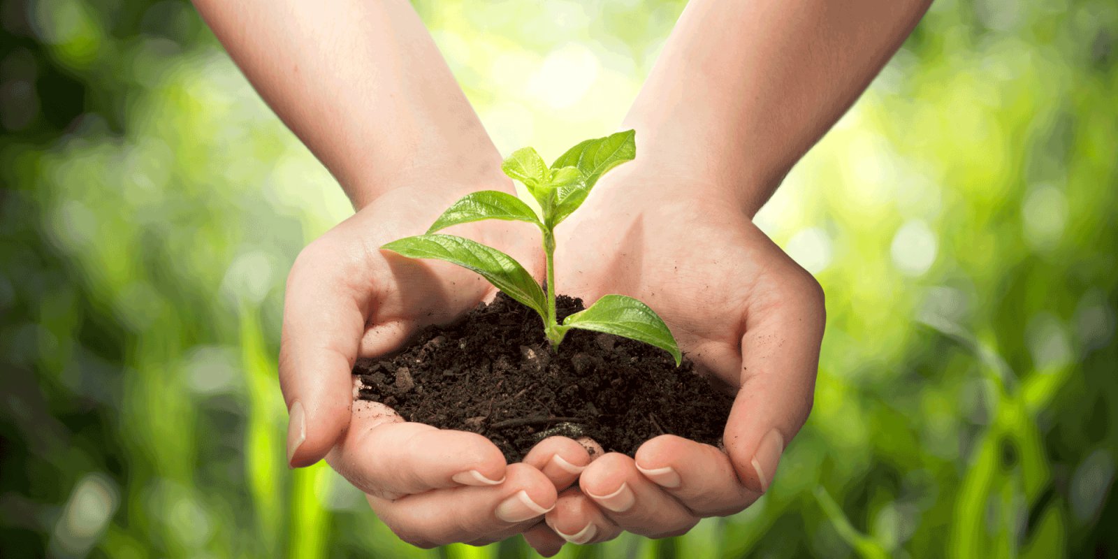 Yfir 10 milljónir hektara nýttir undir lífræna framleiðslu í ESB-ríkjunum