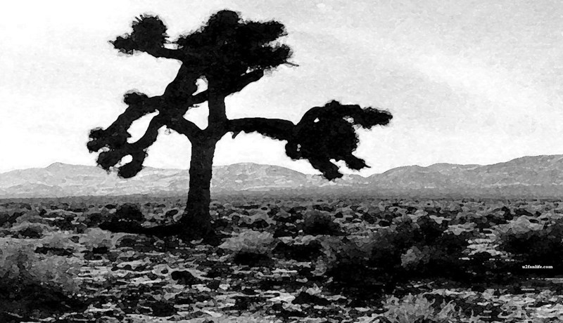 Skemmdarverk unnin á U2 trénu