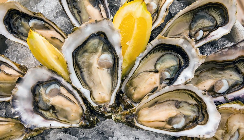 Smekkur fyrir ostruáti er áunninn