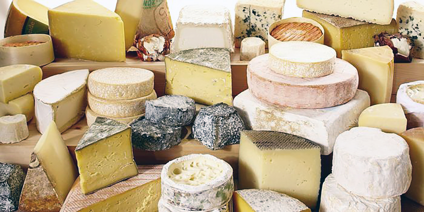 SAM: Verð á tollkvótum fyrir osta hefur lækkað