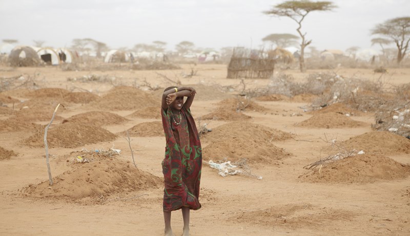 Tíu milljónir manna gætu soltið til dauða
