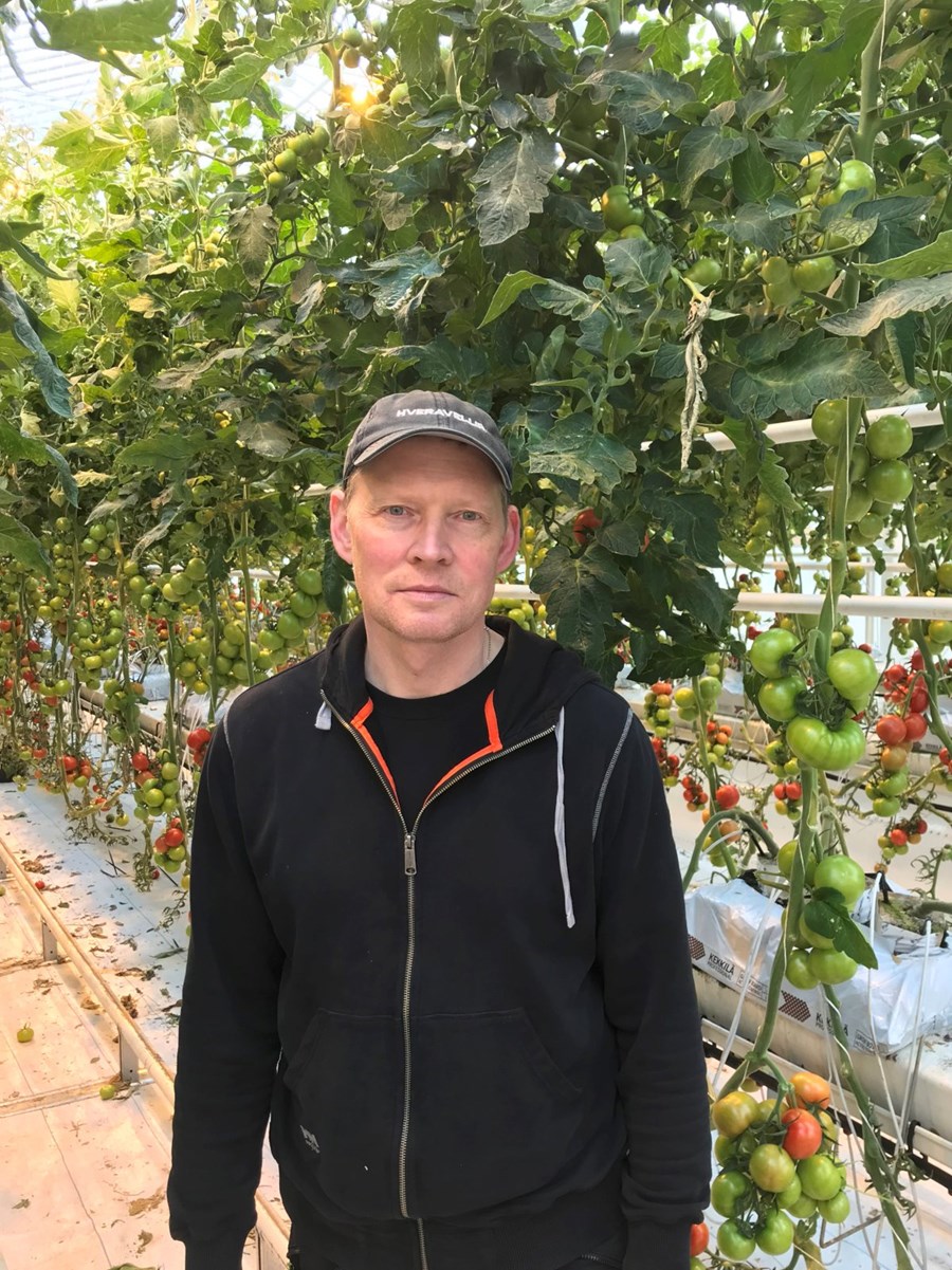 Páll Ólafsson, garðyrkjubóndi á Hveravöllum í Reykjahverfi í Suður-Þingeyjarsýslu.
