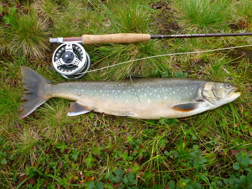 Um 69% af framleiðsluvirði landbúnaðar á Vesturlandi kemur úr lax- og silungsveiði