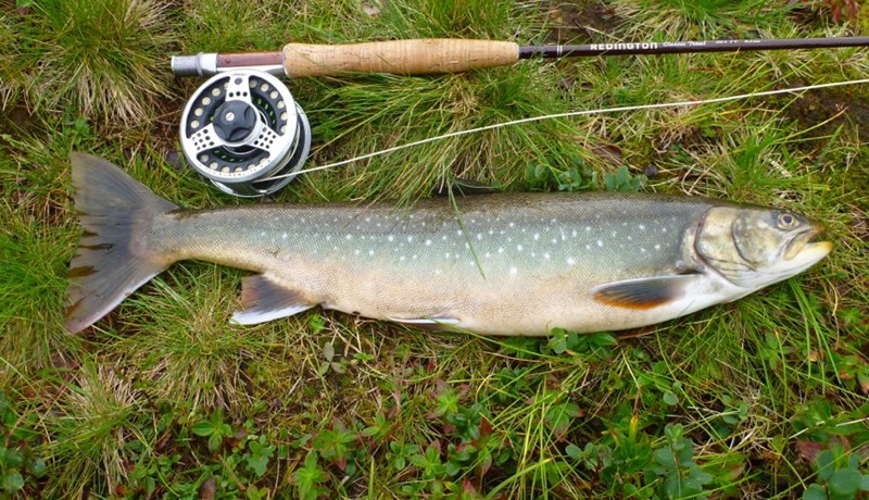 Um 69% af framleiðsluvirði landbúnaðar á Vesturlandi kemur úr lax- og silungsveiði