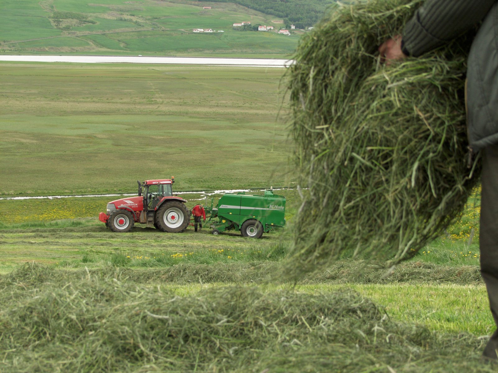Upplýsingar um Bjargráðasjóð