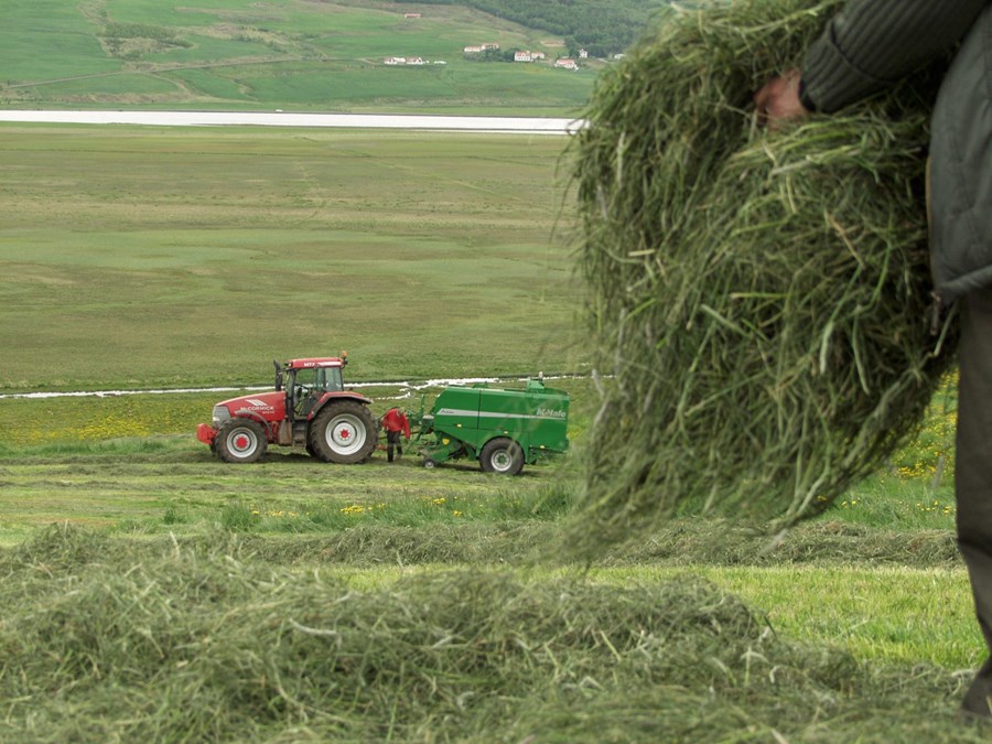 Upplýsingar um Bjargráðasjóð