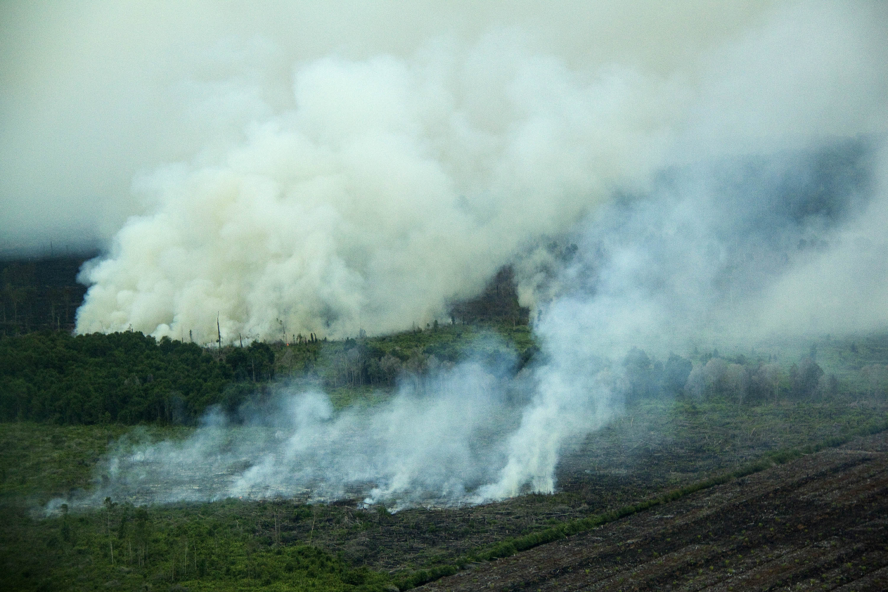 Gríðarlegt reykjarkóf í Suðaustur-Asíu