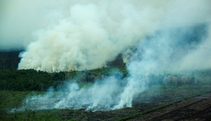 Gríðarlegt reykjarkóf í Suðaustur-Asíu