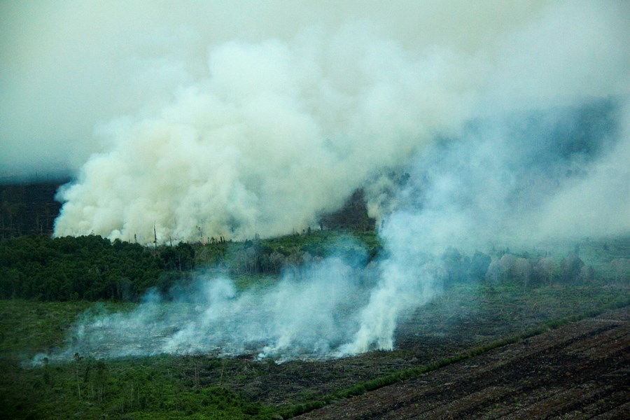 Gríðarlegt reykjarkóf í Suðaustur-Asíu