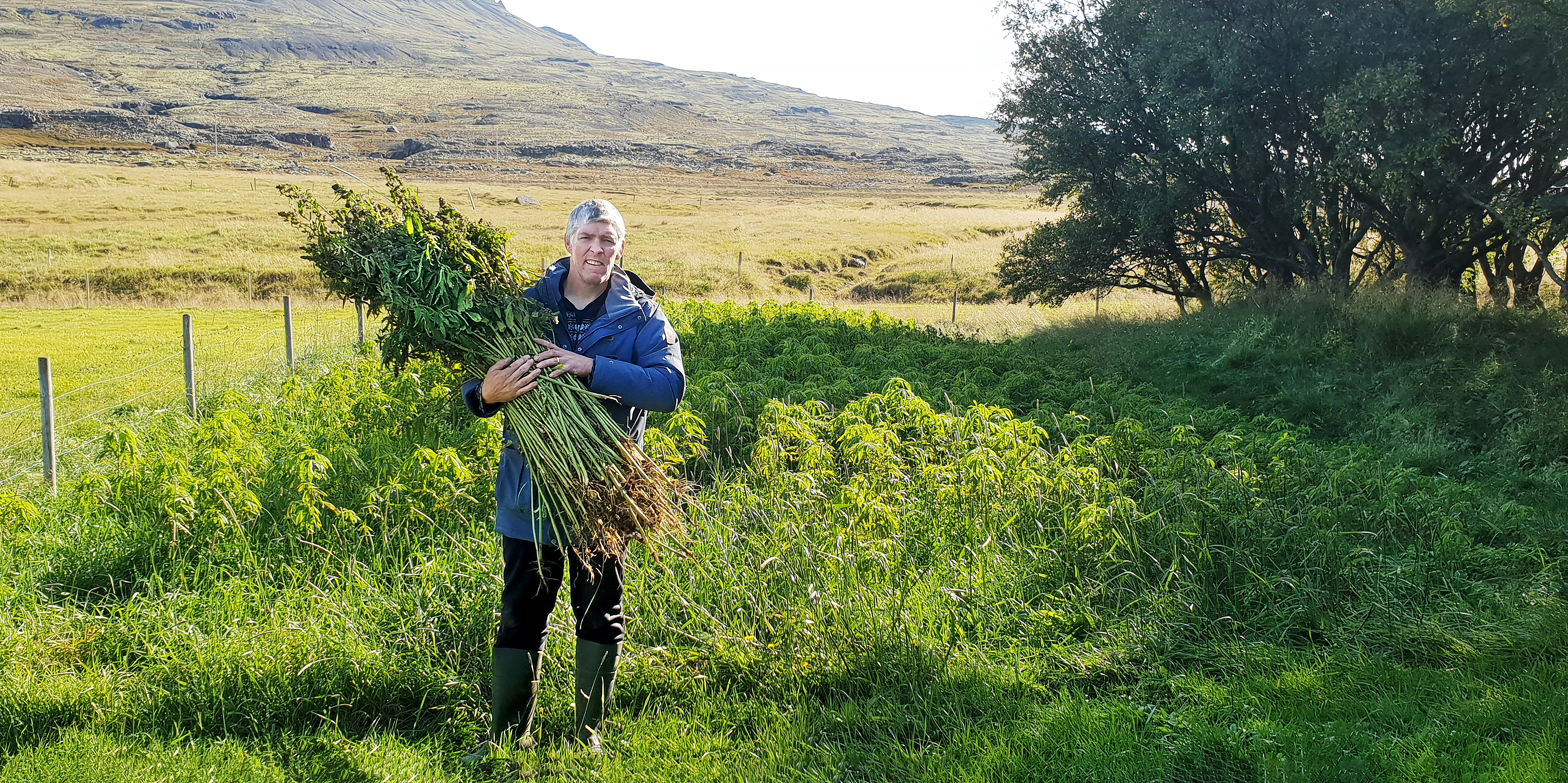Möguleikar í nýtingu hamps óendanlegir