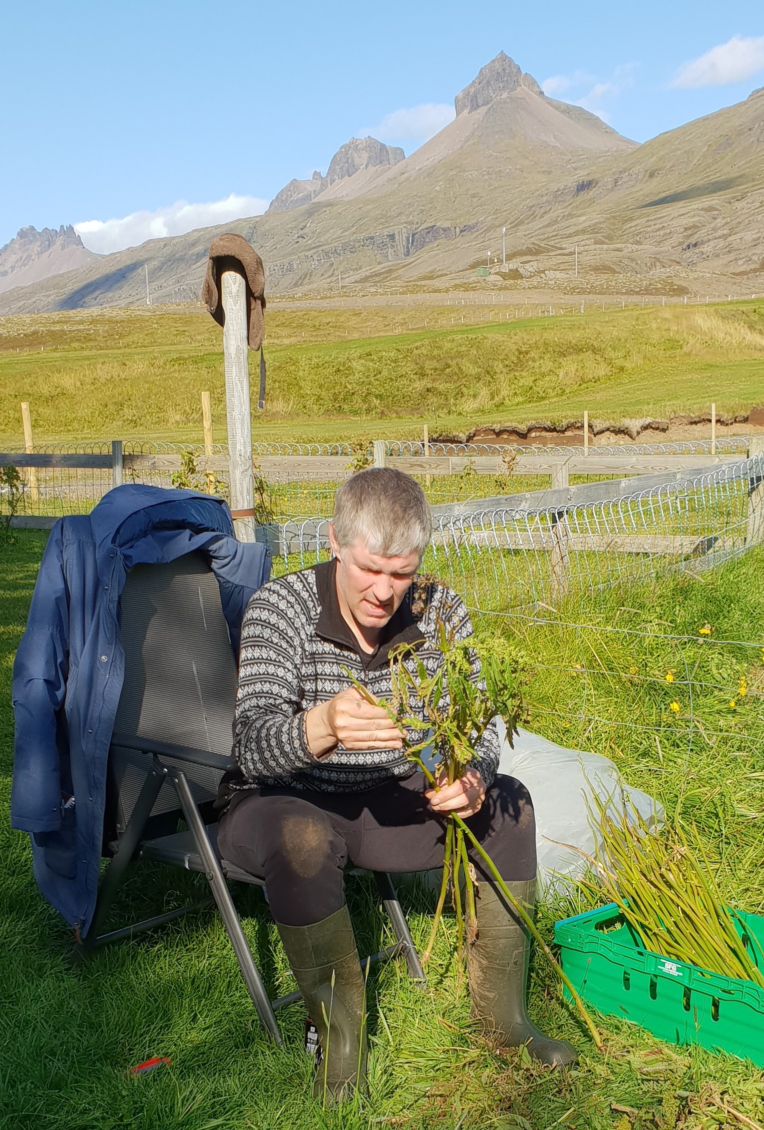 Hugmyndin að setja hampte á markað í haust