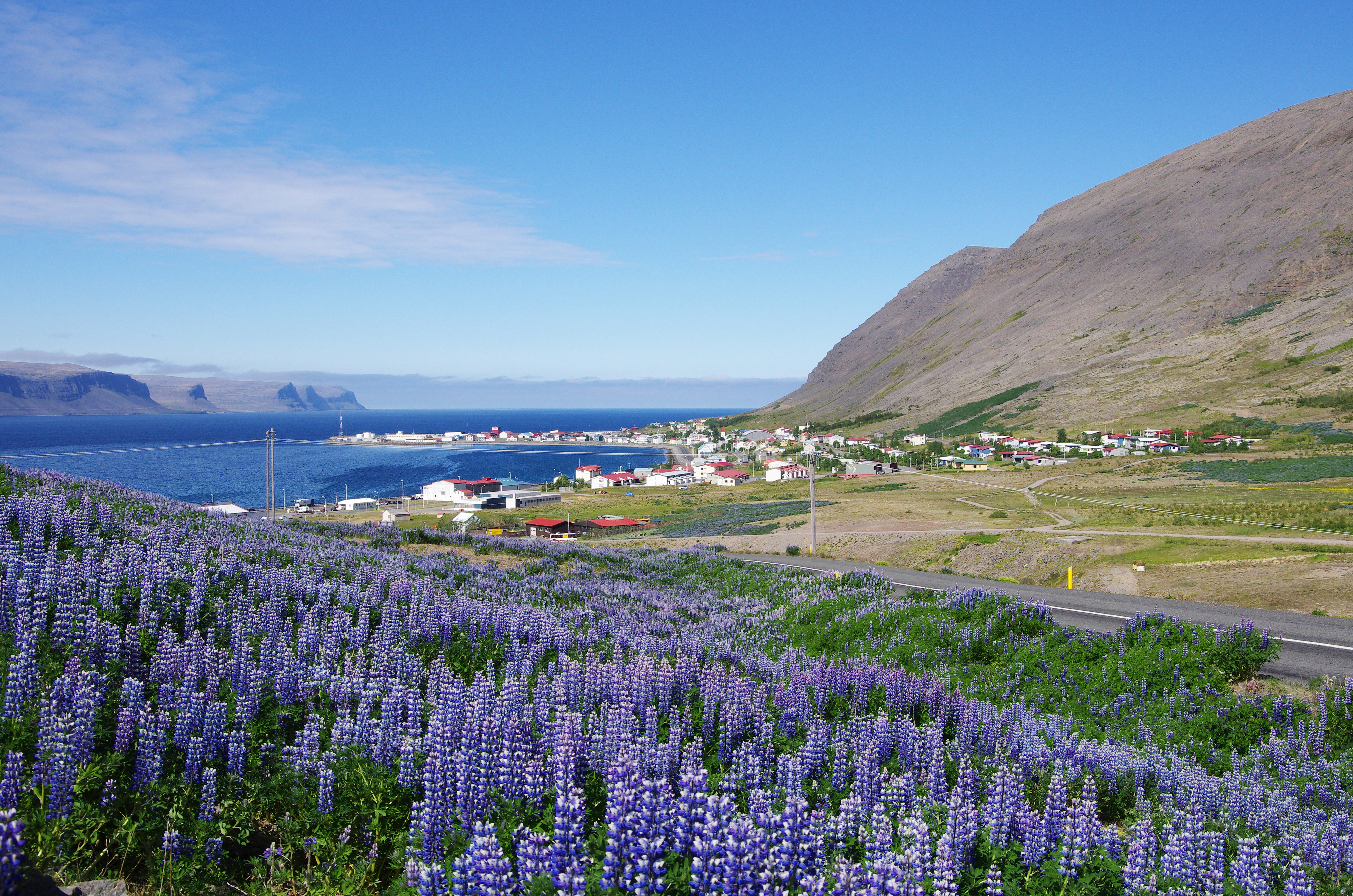 Lax- og silungsveiðar skipta Vestfirðinga litlu en miklar væntingar til laxeldis
