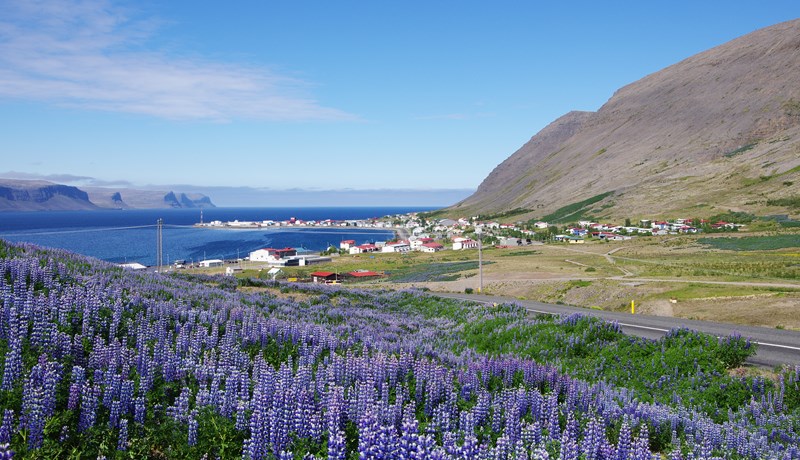 Lax- og silungsveiðar skipta Vestfirðinga litlu en miklar væntingar til laxeldis