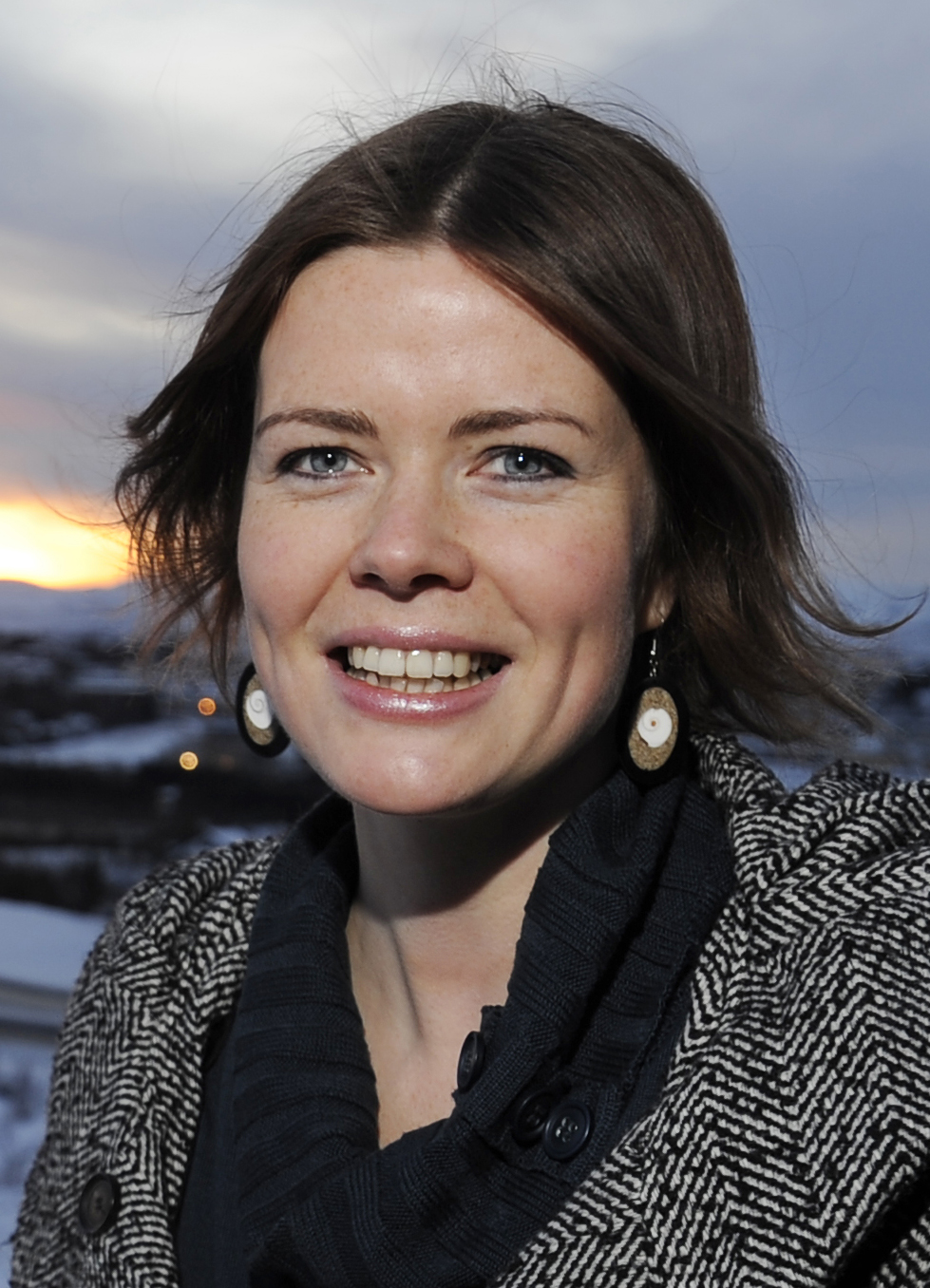 Hver eru áhrif ryks frá Íslandi á loftslag heimskautasvæða?