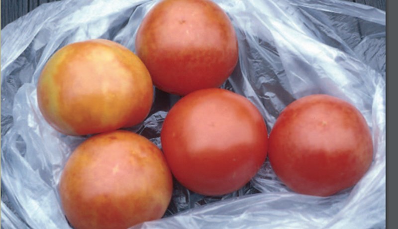 Bráðabirgðaniðurstöður sýna sýkingu á tólf býlum