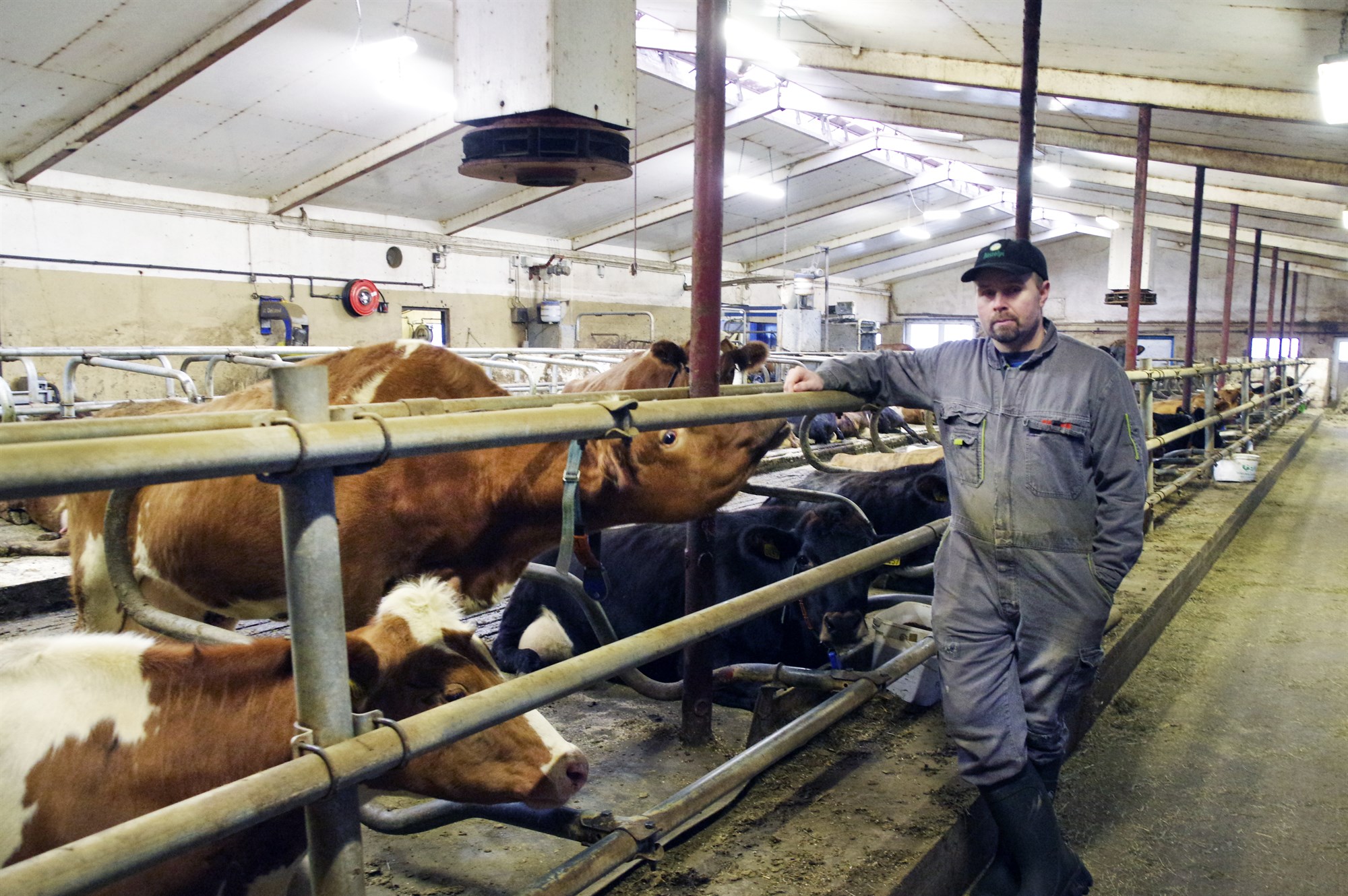 Alls hlutu 59 b&#230;ndur ver&#240;laun fyrir framlei&#240;slu &#225; &#250;rvalsmj&#243;lk