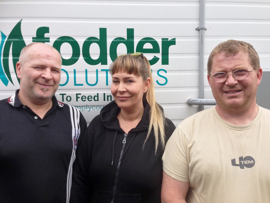 Bygggras sem valkostur