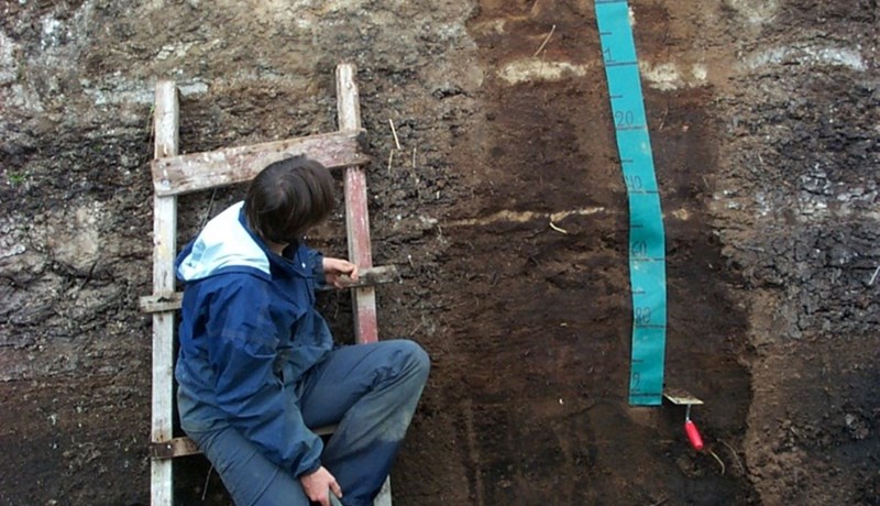 Losa íslensk votlendi minna af CO2 en erlendar mómýrar vegna lægra kolefnishlutfalls?