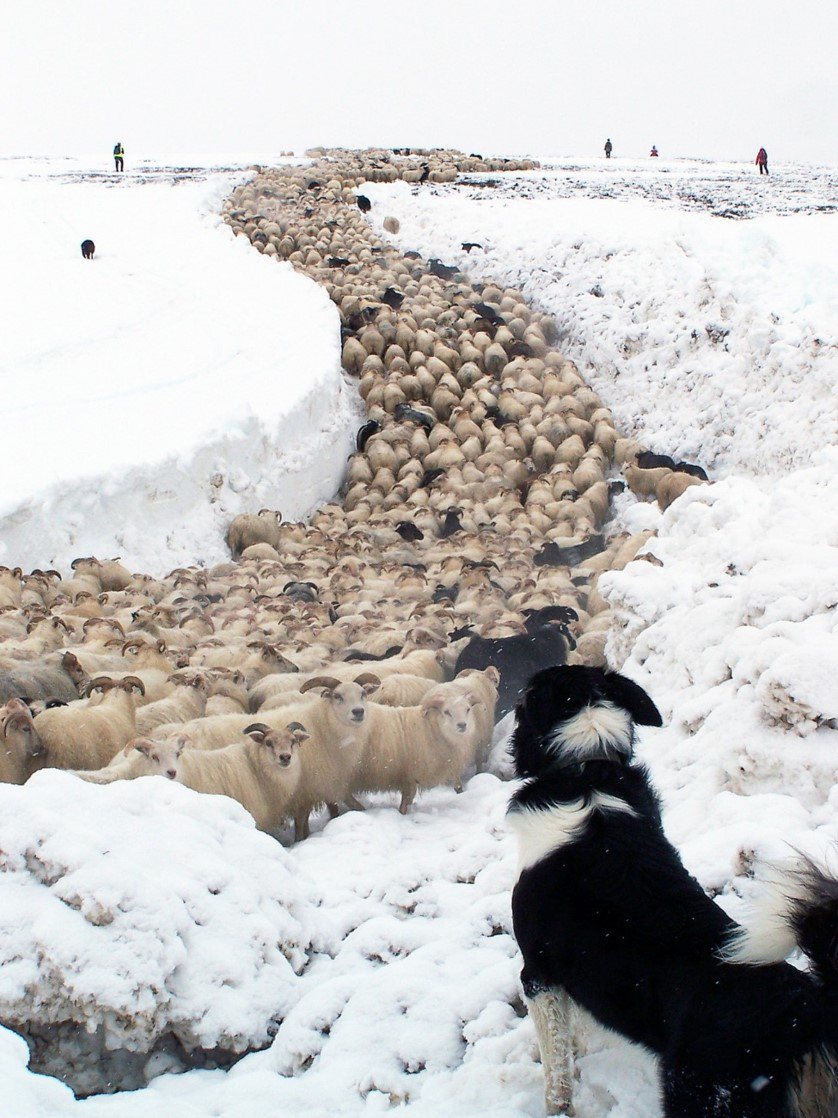 Öfgar án ábyrgðar