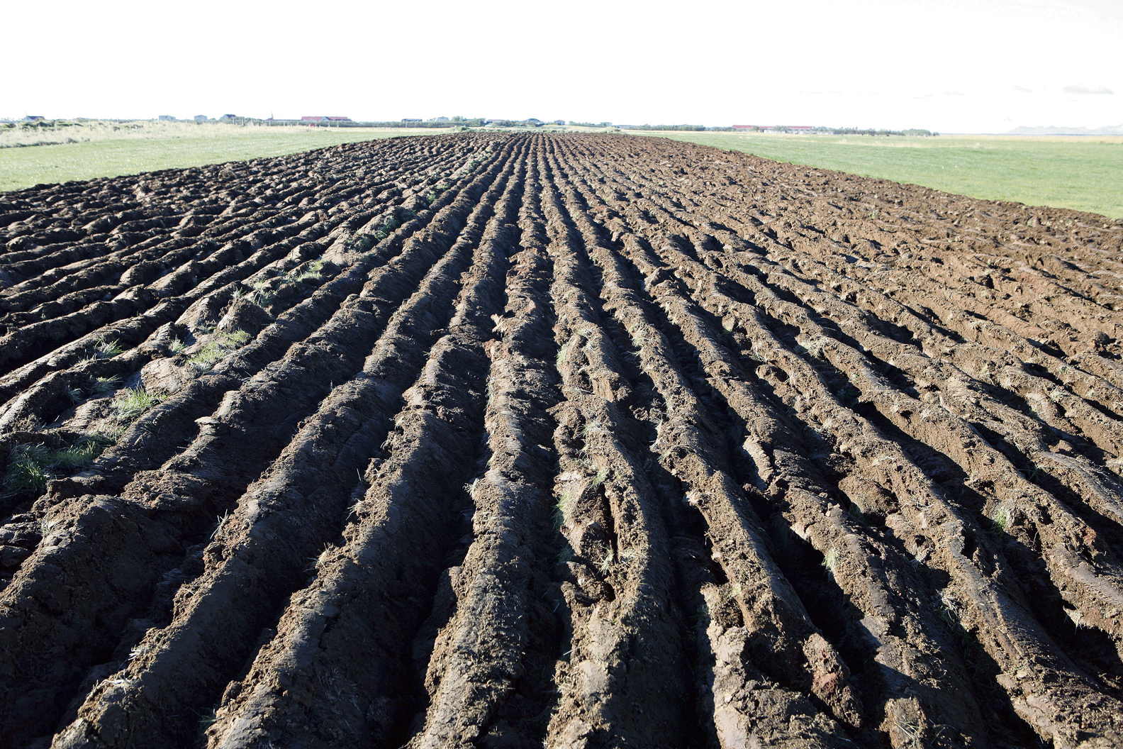 Vistvæn(n) er margrætt lýsingarorð − 1. grein