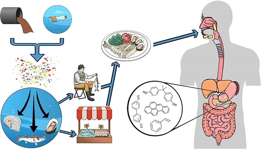 Plastagnir eiga greiða leið inn í fæðukeðju manna vegna ótrúlegs sóðaskapar við meðhöndlun úrgangs.