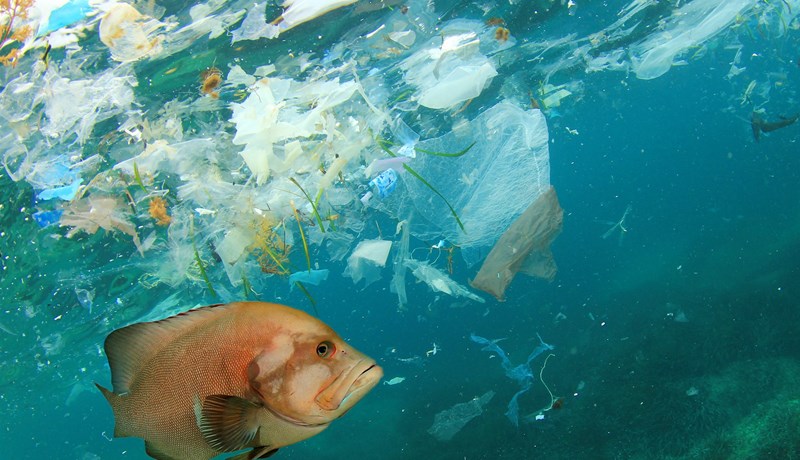 Örplast í öll mál