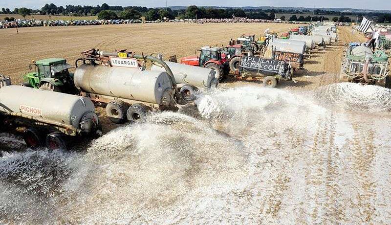 Gagnrýni á ESB fyrir ómarkvissa aðstoð við bændur í kjölfar innflutningsbanns Rússa