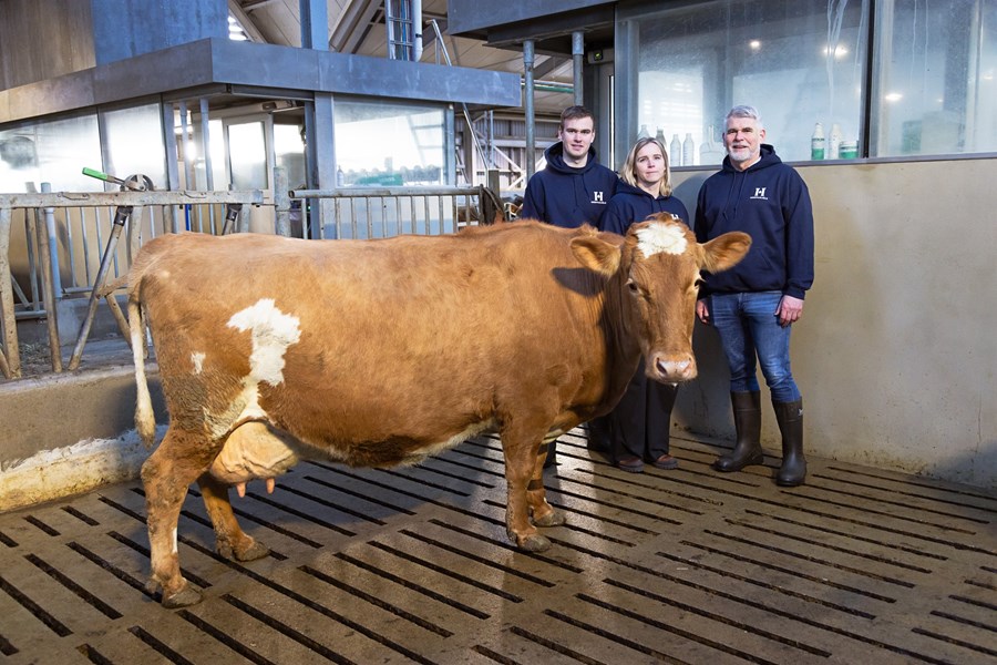 Kýrin Plóma frá Gunnbjarnarholti sló Íslandsmet í framleiðslu mjólkur á síðasta ári. Aftan við hana standa Haukur Arnarsson, Berglind Bjarnadóttir og Arnar Bjarni Eiríksson, ábúendur í Gunnbjarnarholti. 