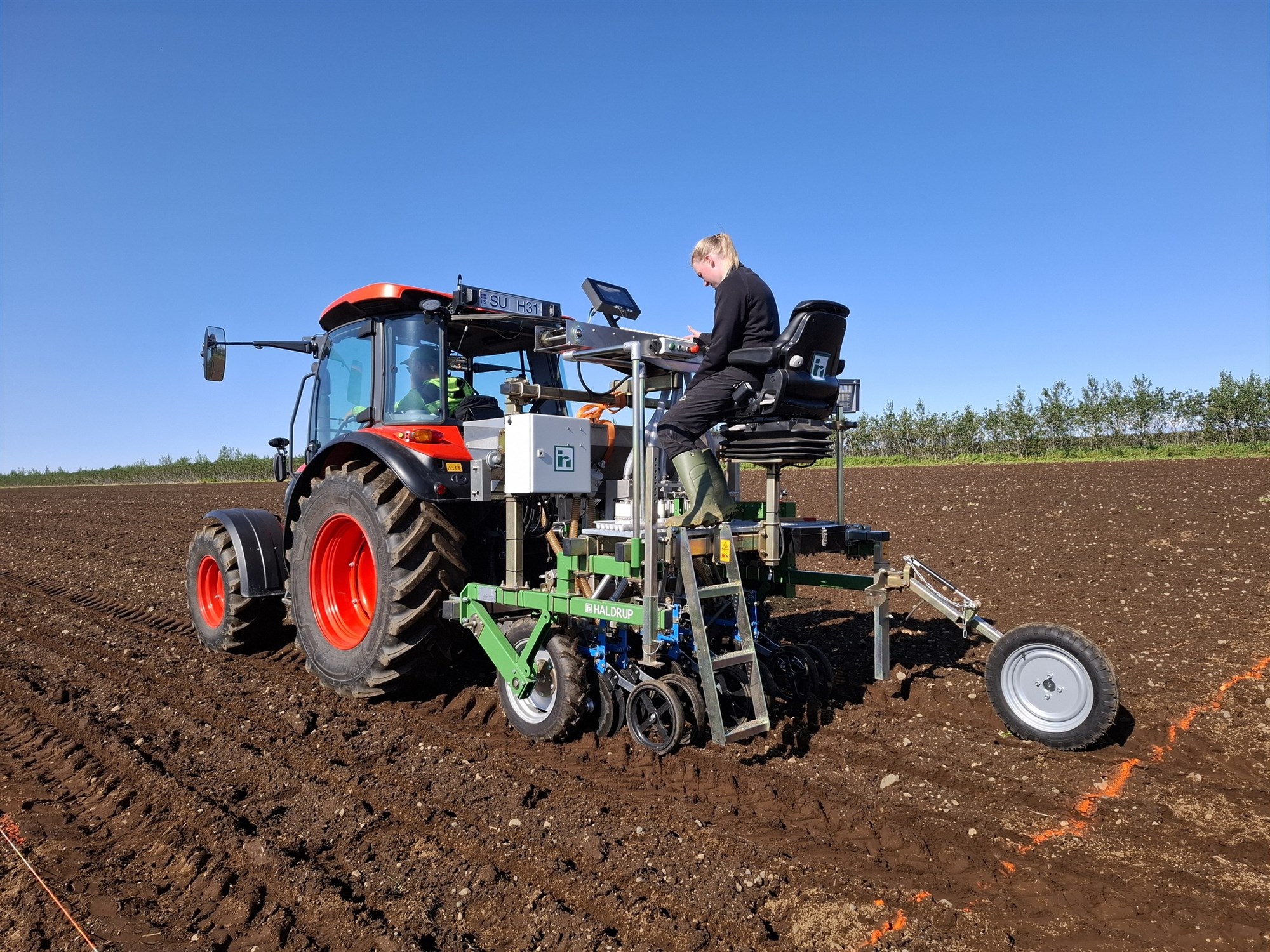 Íslenskt hveiti þróað