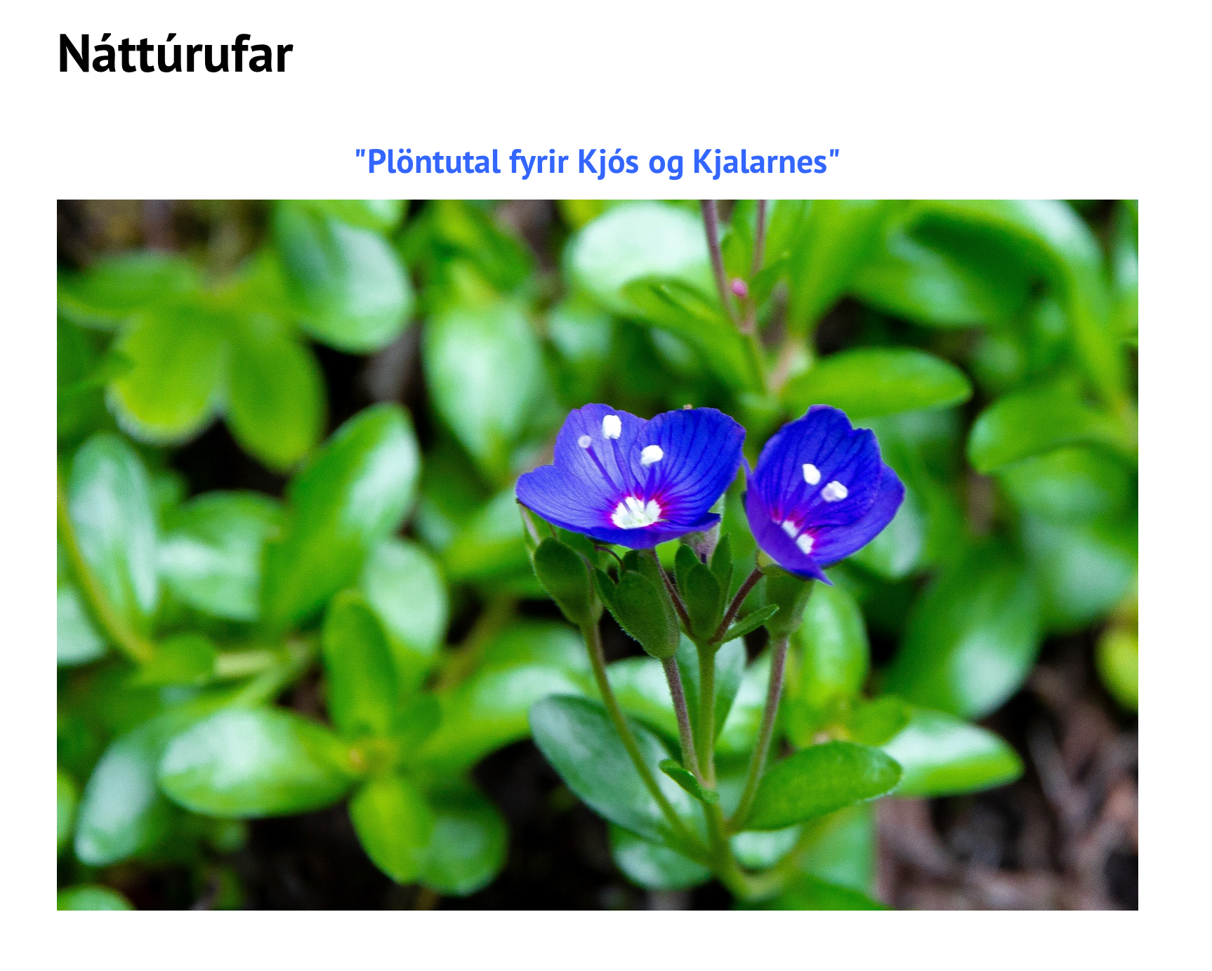 Plöntutal fyrir Kjós  og Kjalarnes