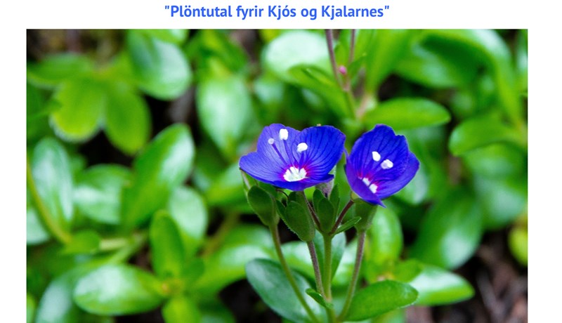 Plöntutal fyrir Kjós og Kjalarnes