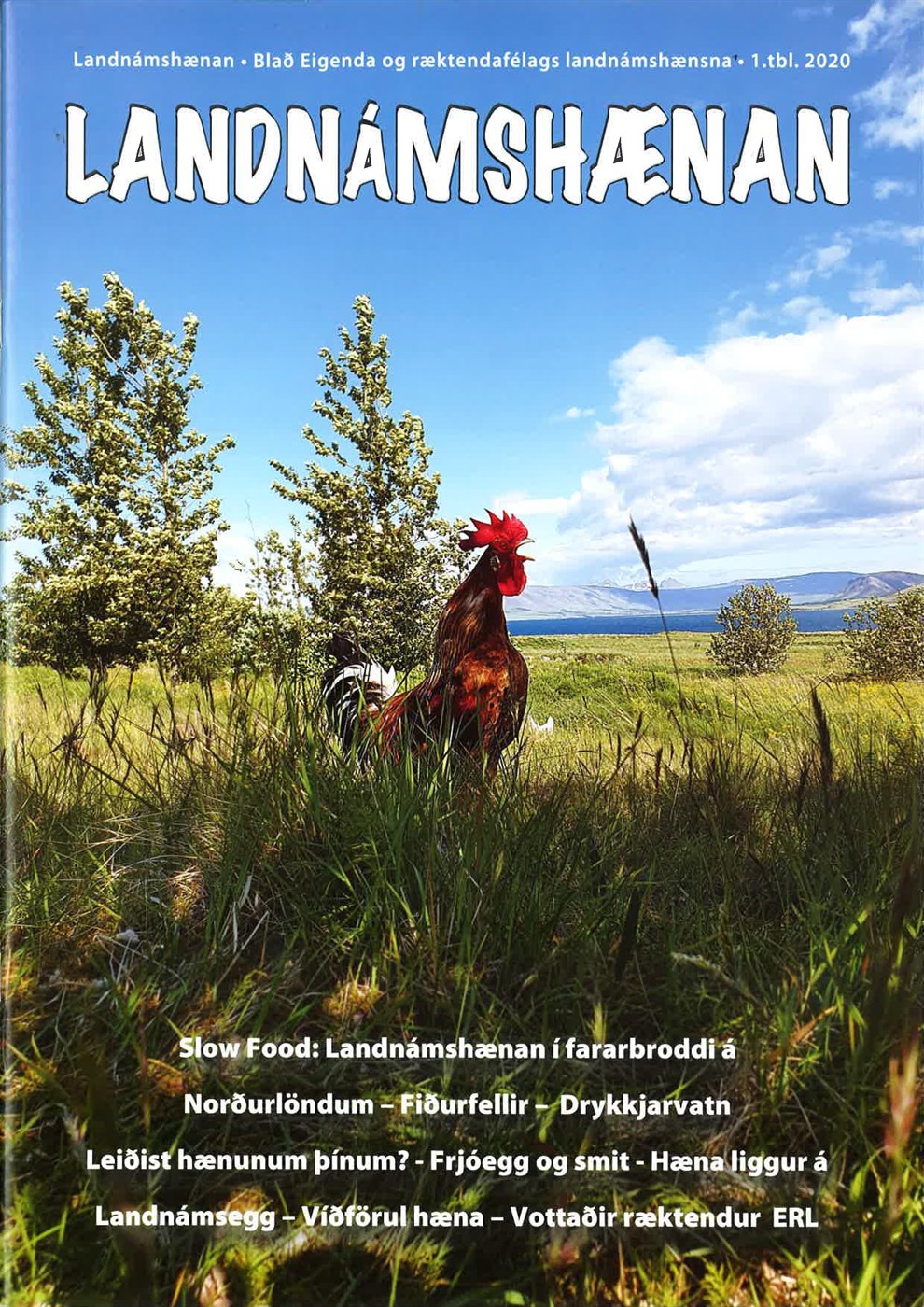 Fróðleikur um fiðurfé