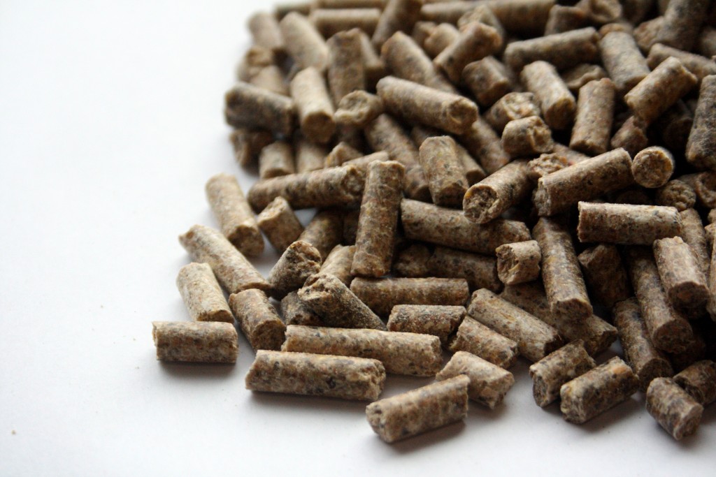 Kjarnfóðrið hækkar í verði