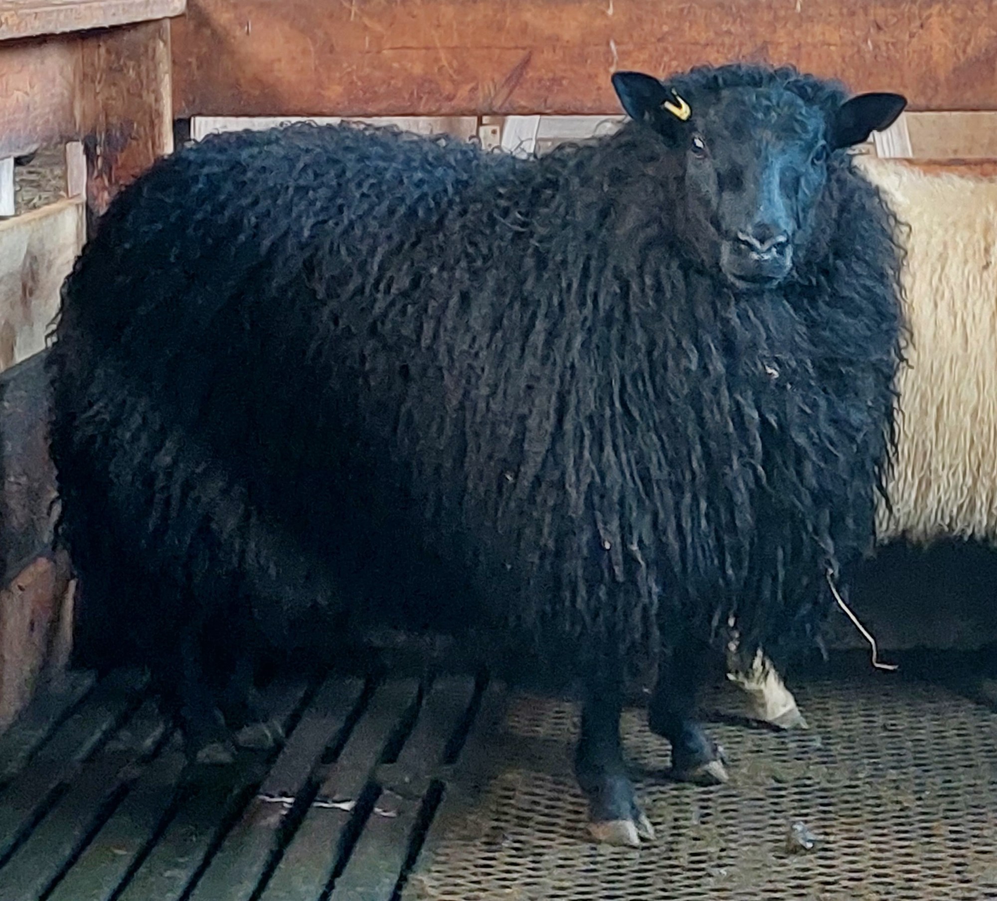 Hverju skilaði hin blíða tíð?