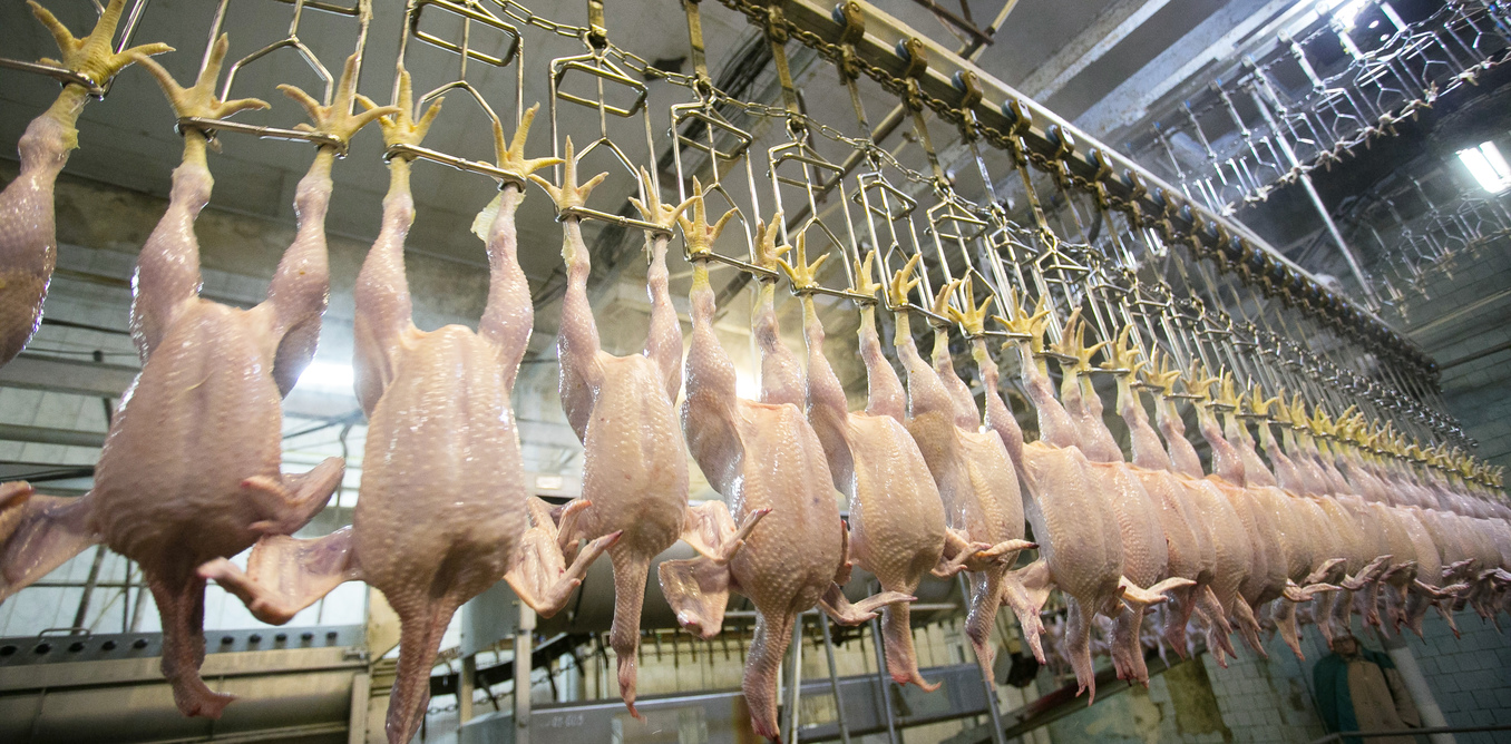 Tollkvóti ESB til Íslands fyrir alifuglakjöt stefnir í að verða stærri en í Noregi sem er með 5,3 milljónir íbúa