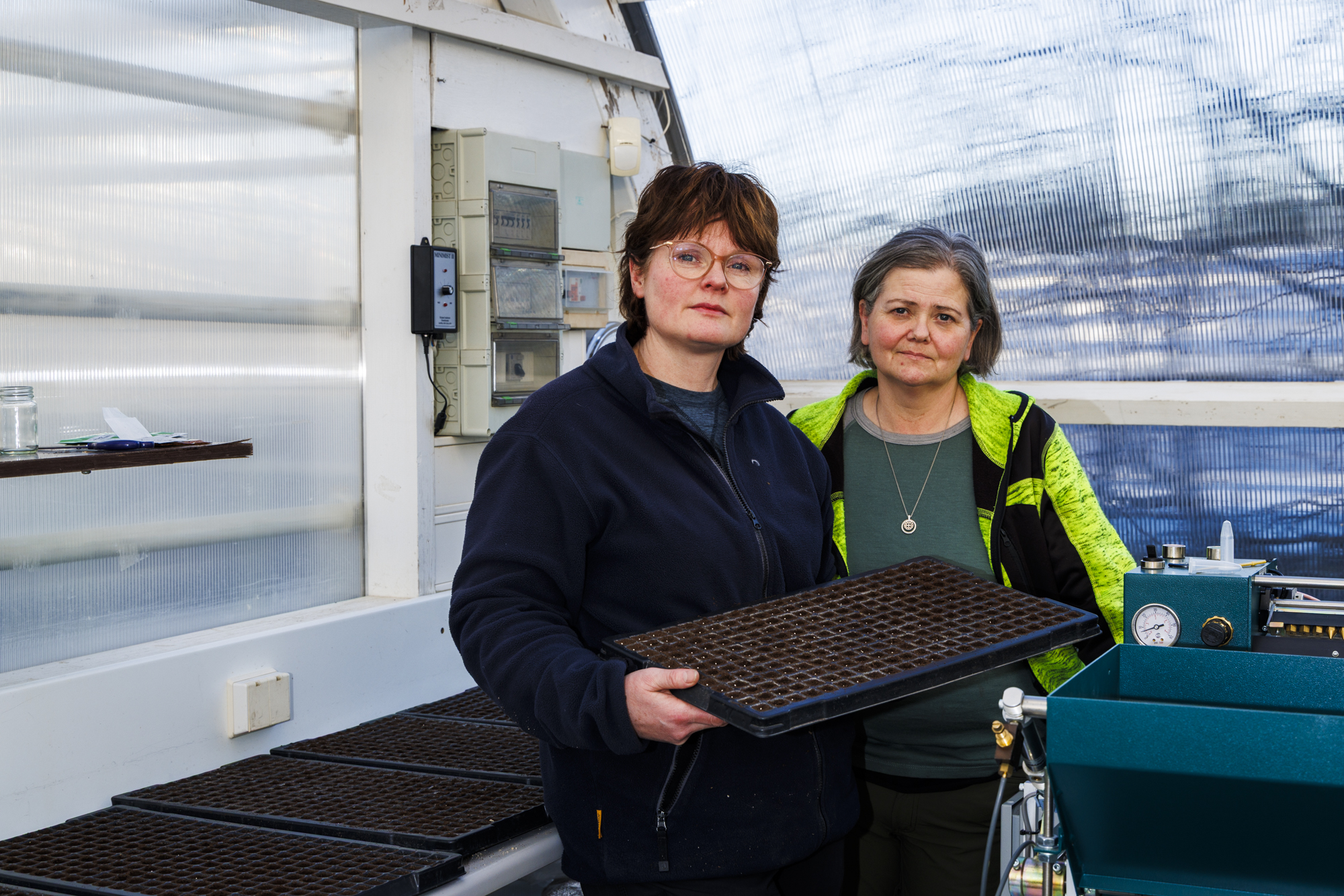 Fyrstu sumarblómunum sáð í febrúar