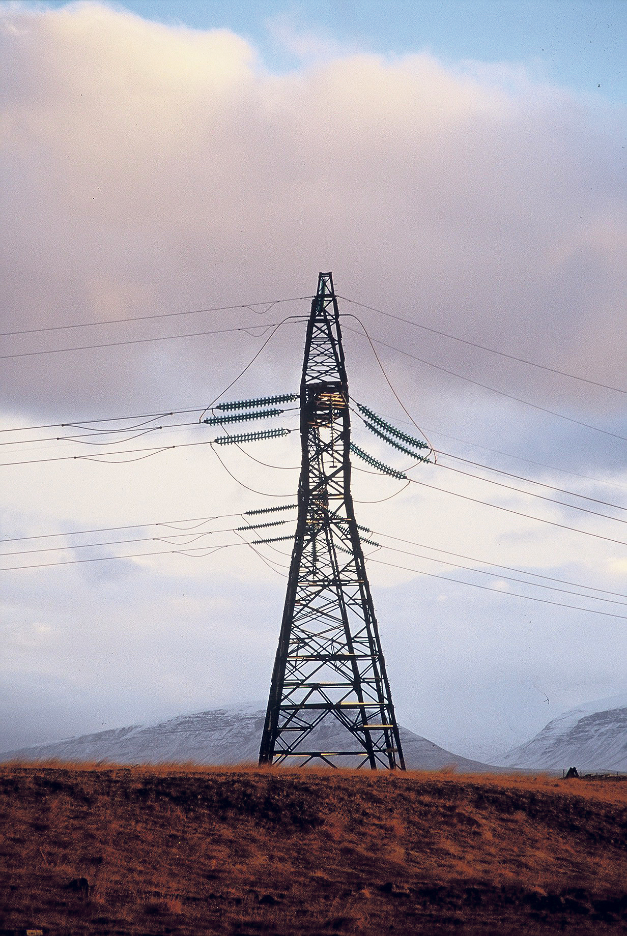Gömul og góð búnaðarþingsmál