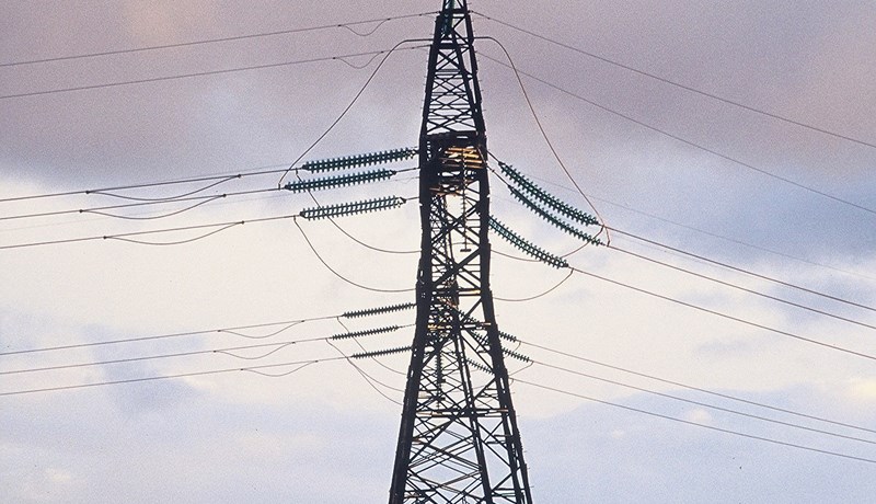 Gömul og góð búnaðarþingsmál