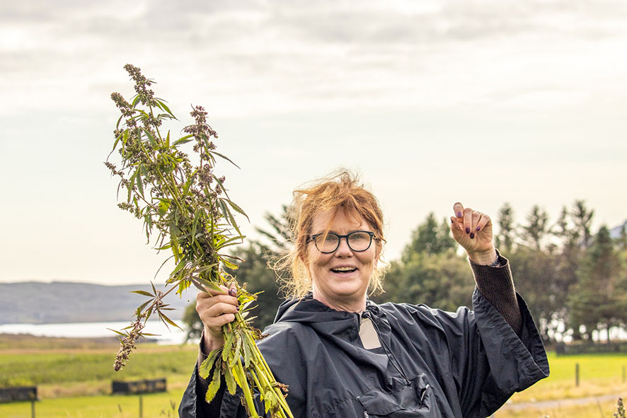 Sjálfbærnilausnir úr iðnaðarhampi