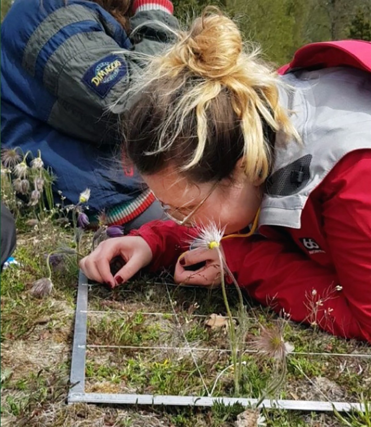 Áhrif sauðfjárbeitar á plöntur í hlýnandi heimi