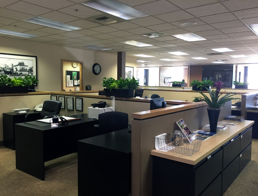 Rannsóknir sýna að þar sem starfsumhverfi einkennist af nálægð gróðurs hefur hann í sjálfu sér afkastahvetjandi áhrif sem hafa jafnvel verið mæld í tugum prósenta.