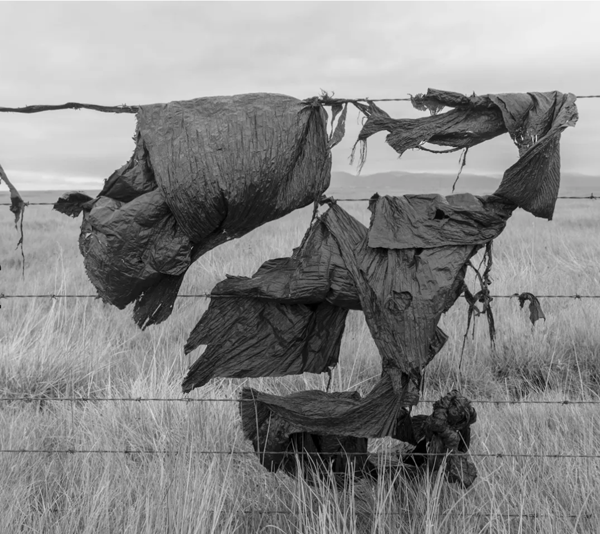 Listin teygir sig víða