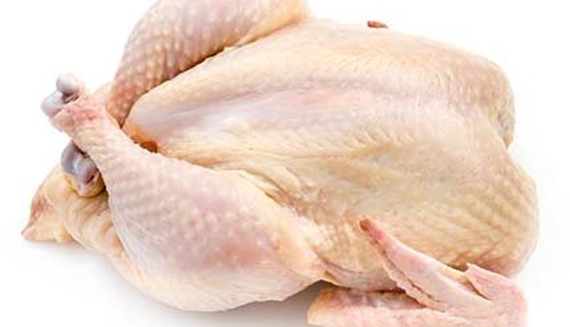 Grunur um salmonellu í kjúklingi