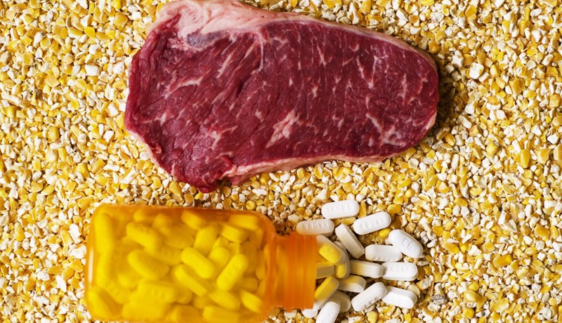 Reglur um notkun sýklalyfja í landbúnaði í Kaliforníu hertar