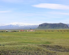 Suður-Hvoll