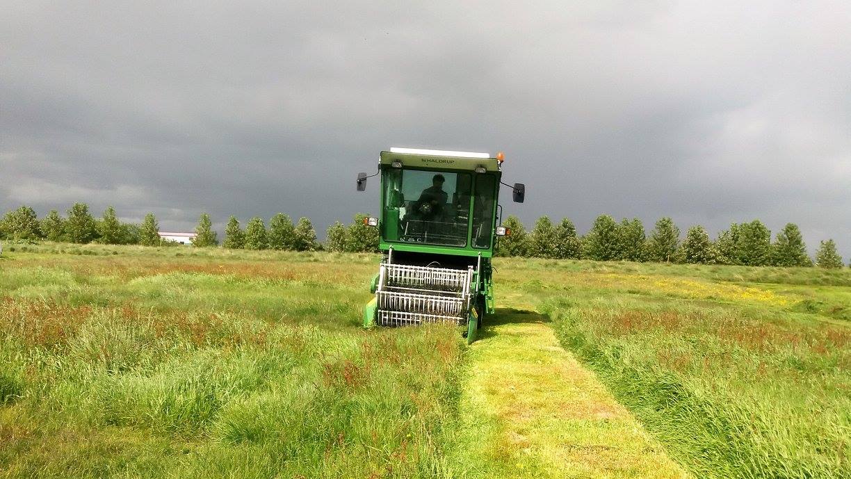 Starfsemin verður efld